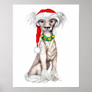 Kinesisk kastad tomt poster