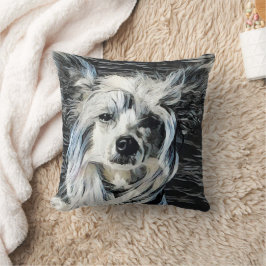 Kinesisk krönt hund kudde
