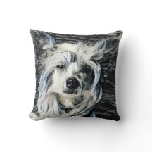Kinesisk krönt hund