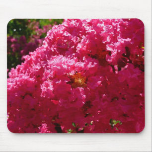 Kinesisk Lagerströmia Magenta Blomma Musmatta
