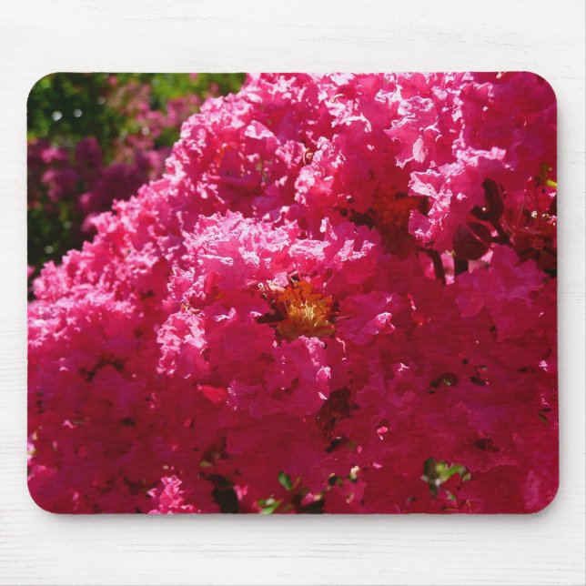 Kinesisk Lagerströmia Magenta Blomma Musmatta (Framsidan)