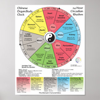 Kinesisk medicin, meridian Body Clock Poster