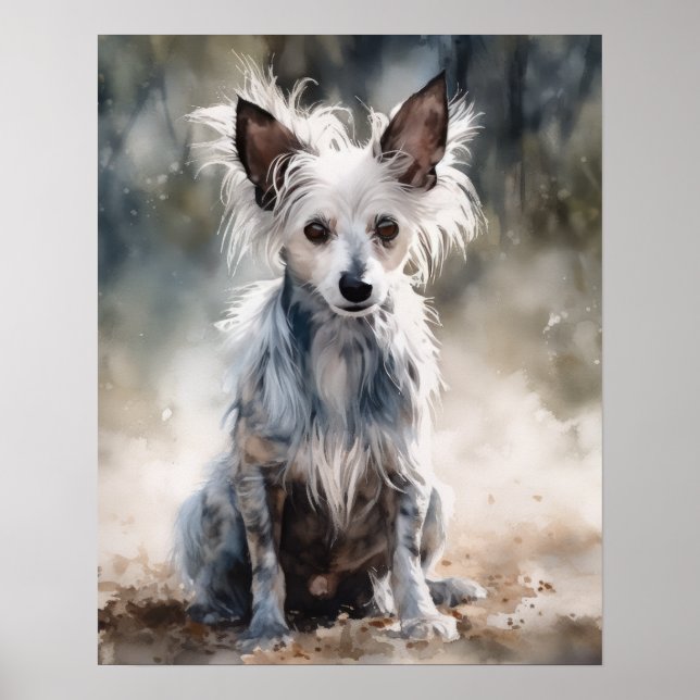 Kinesisk nakenhund Konsttryck Poster (Framsidan)