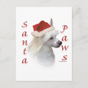 Kinesisk nakenhund (pulver) Santa Paws Helg Vykort