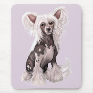 Kinesisk obestritt, hairless Sit Musmatta