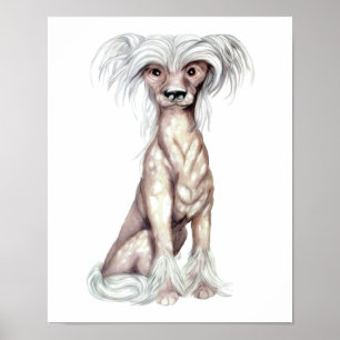 Kinesisk, obestritt poster