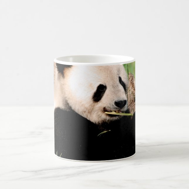 Kinesisk Panda Kaffemugg (Center)