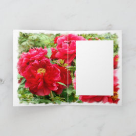 Kinesisk peony [hälsningskort] カ ー kort