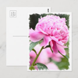 Kinesisk peony [vykort] ポ ス ト カ ー vykort
