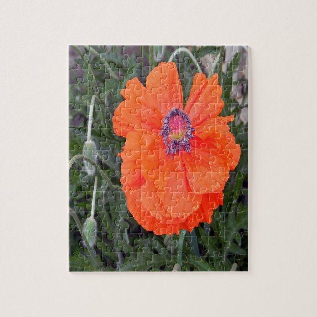 Kinesisk poppy.... pussel (Vertikal)
