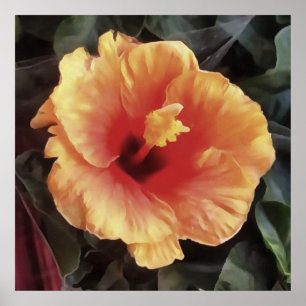 Kinesisk Ro blomma Artistisk Blommigt Bloom Poster