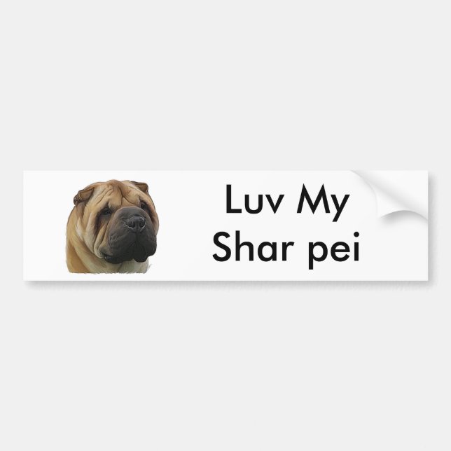 Kinesisk shar pei bildekal (Framsidan)
