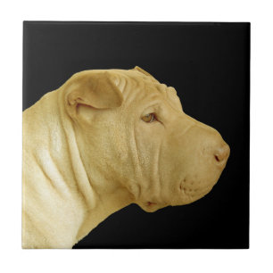 Kinesisk Shar-Pei-Hund-profilpanel Kakelplatta