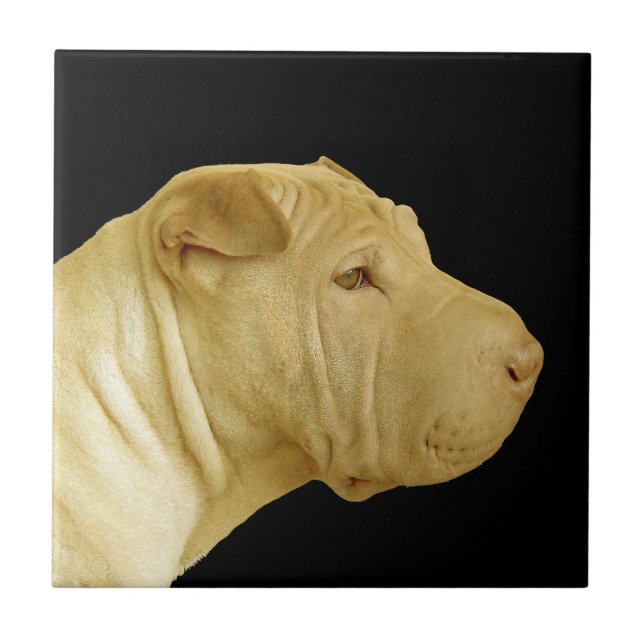Kinesisk Shar-Pei-Hund-profilpanel Kakelplatta (Framsidan)