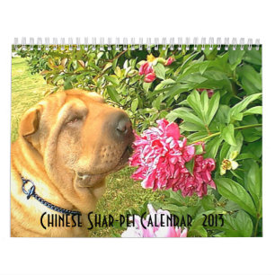 Kinesisk Shar-pei kalender