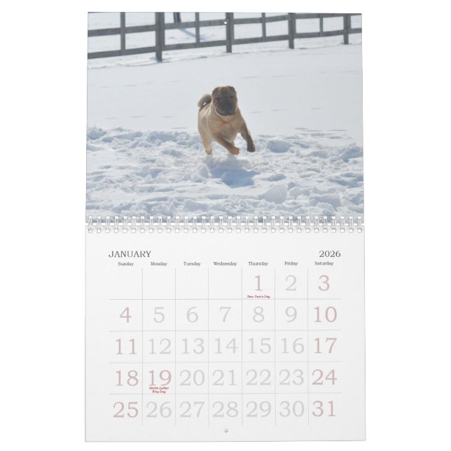 Kinesisk Shar-pei kalender (Jan 2026)