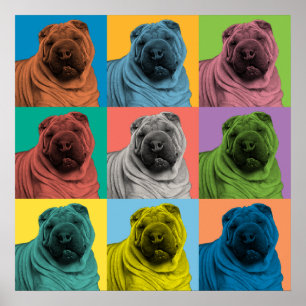 Kinesisk Shar-Pei Pop-Konst affisch