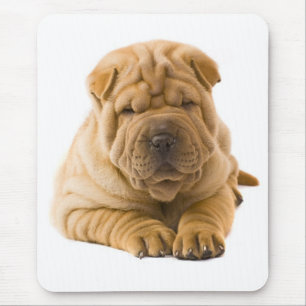 Kinesisk shar Pei Puppy Hund Kärlek Mousepad Musmatta