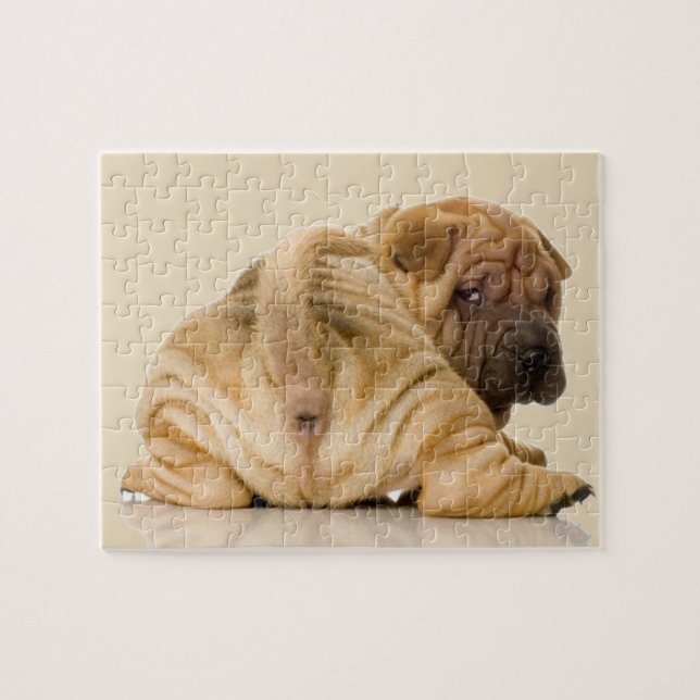Kinesisk Shar-pei valphund Pussel (Horisontell)