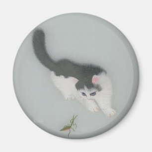 Kinesisk silkekattbild magnet