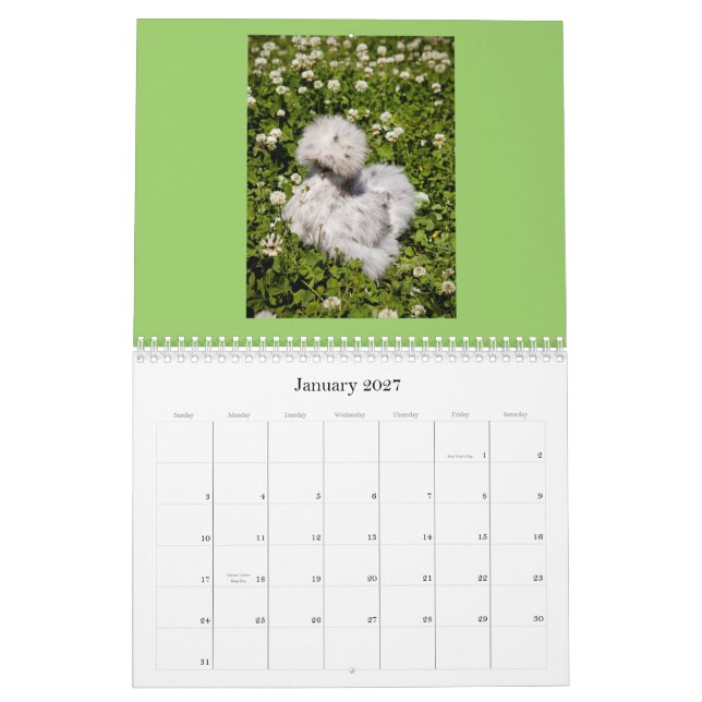 Kinesisk Silkie & Showgirlkalender Kalender (Jan 2027)