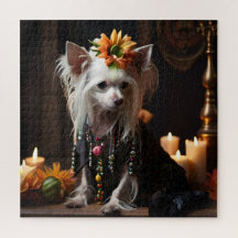 Kinesisk skäggig, dold som Day of the dead
