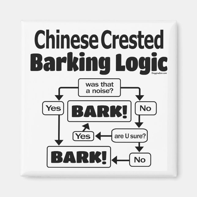 Kinesisk skräddarsydd barkningslogik magnet (Framsidan)