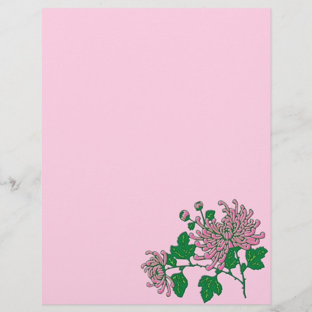 Kinesisk spindelkrysantemi, mjuk rosa (Framsida)