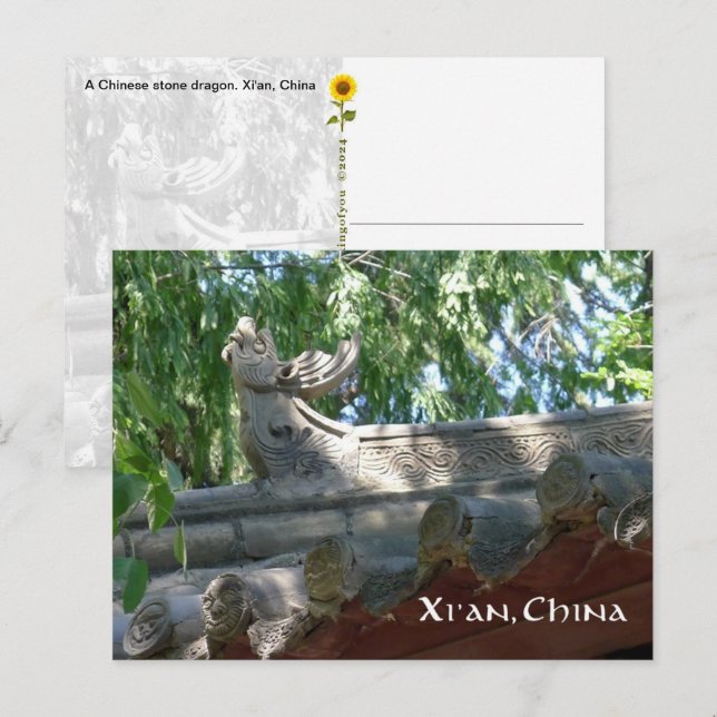 Kinesisk stendragon, Xi'an, China - vykort (Fram/baksida)