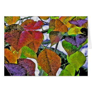 Kinesisk talg OBS kort