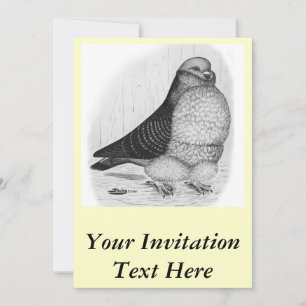 Kinesisk Uggla Pigeon Bläck Teckning Inbjudningar