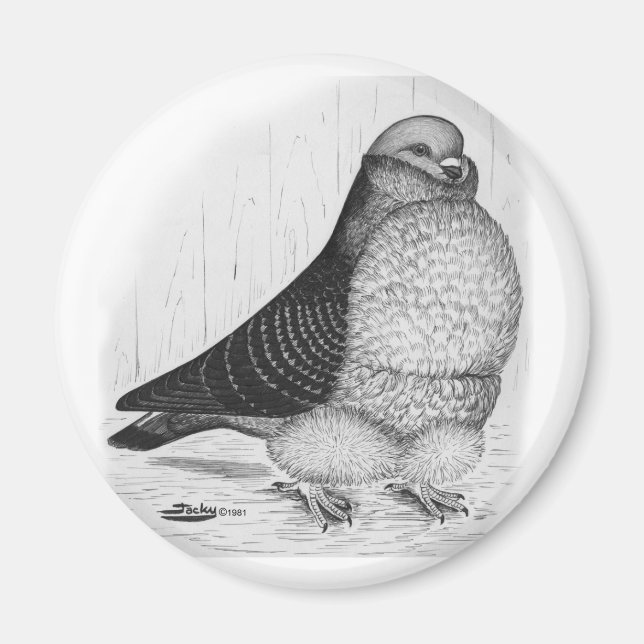 Kinesisk Uggla Pigeon Bläck Teckning Magnet (Framsidan)