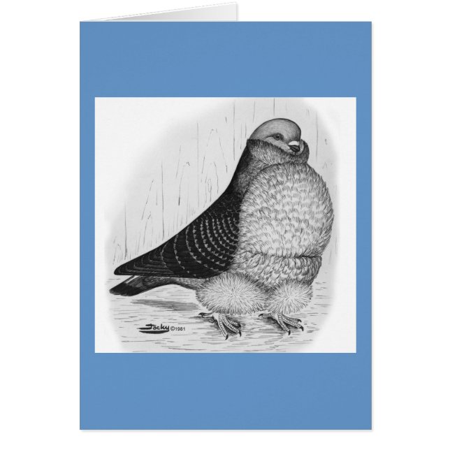 Kinesisk Uggla Pigeon Bläck Teckning OBS Kort (Framsidan)