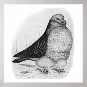 Kinesisk Uggla Pigeon Bläck Teckning Poster