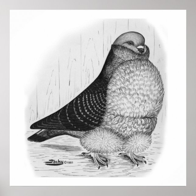 Kinesisk Uggla Pigeon Bläck Teckning Poster (Framsidan)