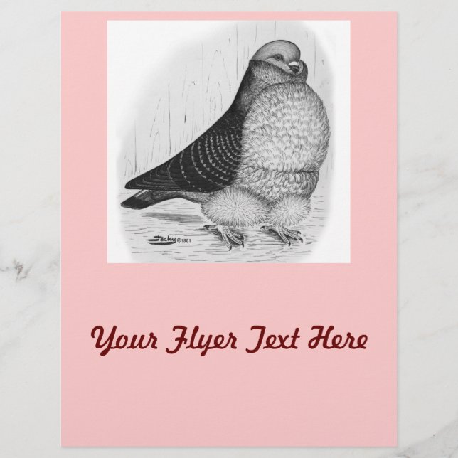 Kinesisk Uggla Pigeon Bläck Teckning Reklamblad (Framsidan)