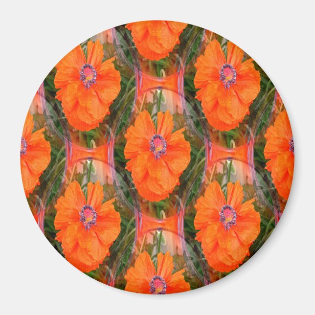 Kinesisk vallmo fält.. magnet (Framsidan)