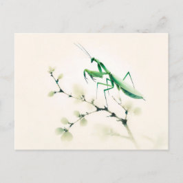 Kinesiska Bläck Mantis på Ginkgo Vykort