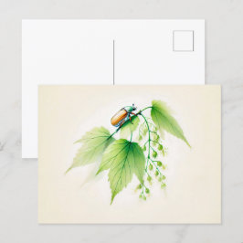 Kinesiska Bläck May Kryp på Linden Vykort