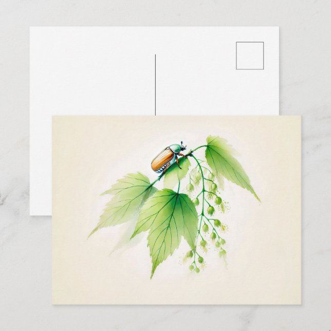 Kinesiska Bläck May Kryp på Linden Vykort (Fram/baksida)