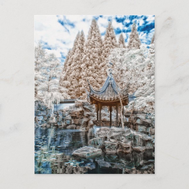 Kinesiska Garden Infraröd Vykort (Framsida)