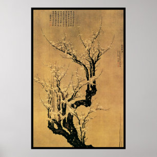 Kinesiska körsbärblommar poster