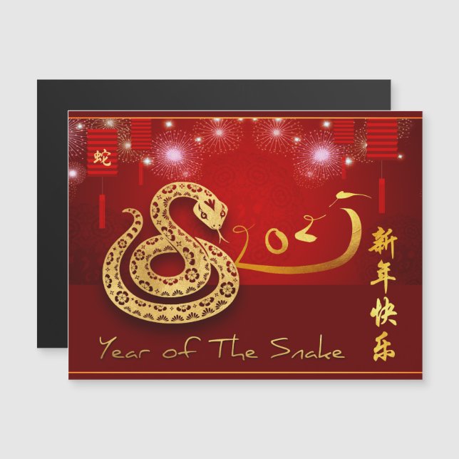 Kinesiska Lanternor Fireworks-orm År 2025 MC (Fram/baksida)