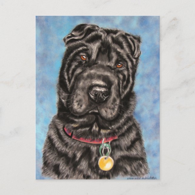 Kinesiska Shar-Pei Hund Art - Tia Vykort (Framsida)