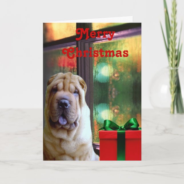 Kinesiska Shar-pei julkort Helgkort (Framsida)