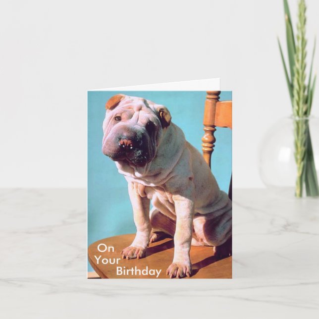 Kinesiska Shar-Pei Kort (Framsida)