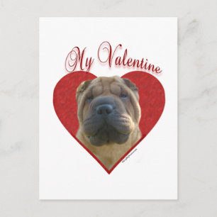 Kinesiska Shar Pei min valentin Helg Vykort