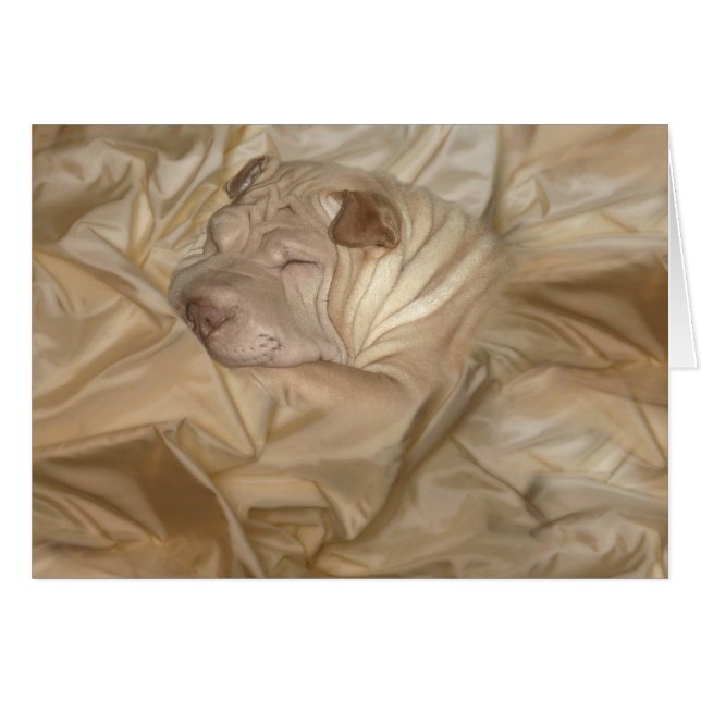Kinesiska Shar Pei som in kamoufleras, rynkar Hälsningskort (Framsidan Horizontal)