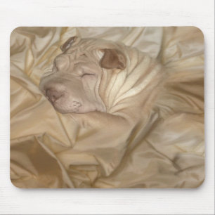 Kinesiska Shar Pei som in kamoufleras, rynkar Musmatta
