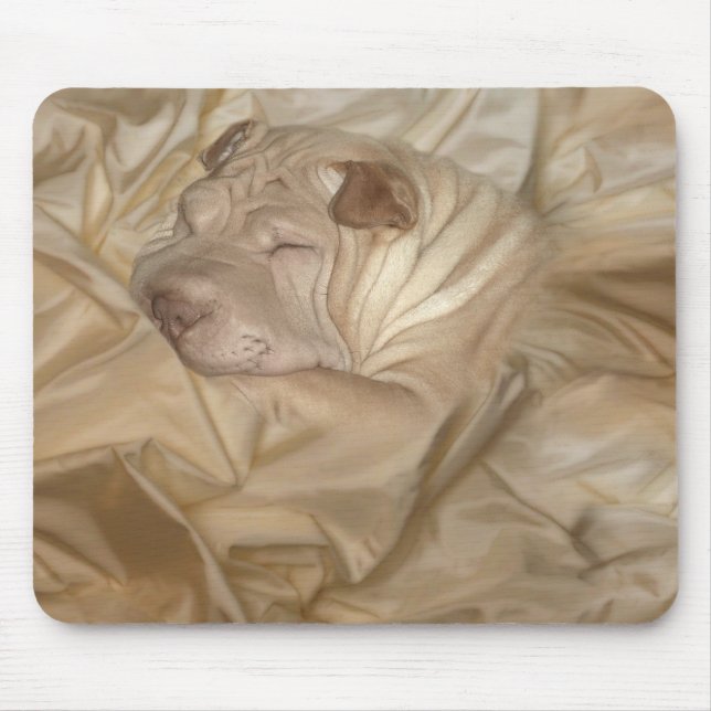 Kinesiska Shar Pei som in kamoufleras, rynkar Musmatta (Framsidan)